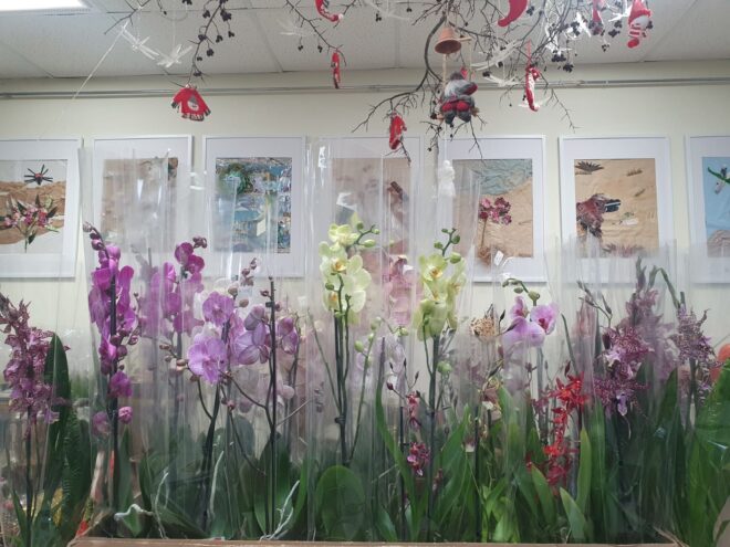Жителей Твери приглашают на выставку тропических орхидей и бромелий Жителей Твери приглашают на выставку тропических орхидей и бромелий