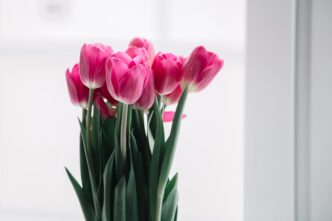 Приметы: Почему 5 декабря нельзя дарить живые цветы Приметы: Почему 5 декабря нельзя дарить живые цветы