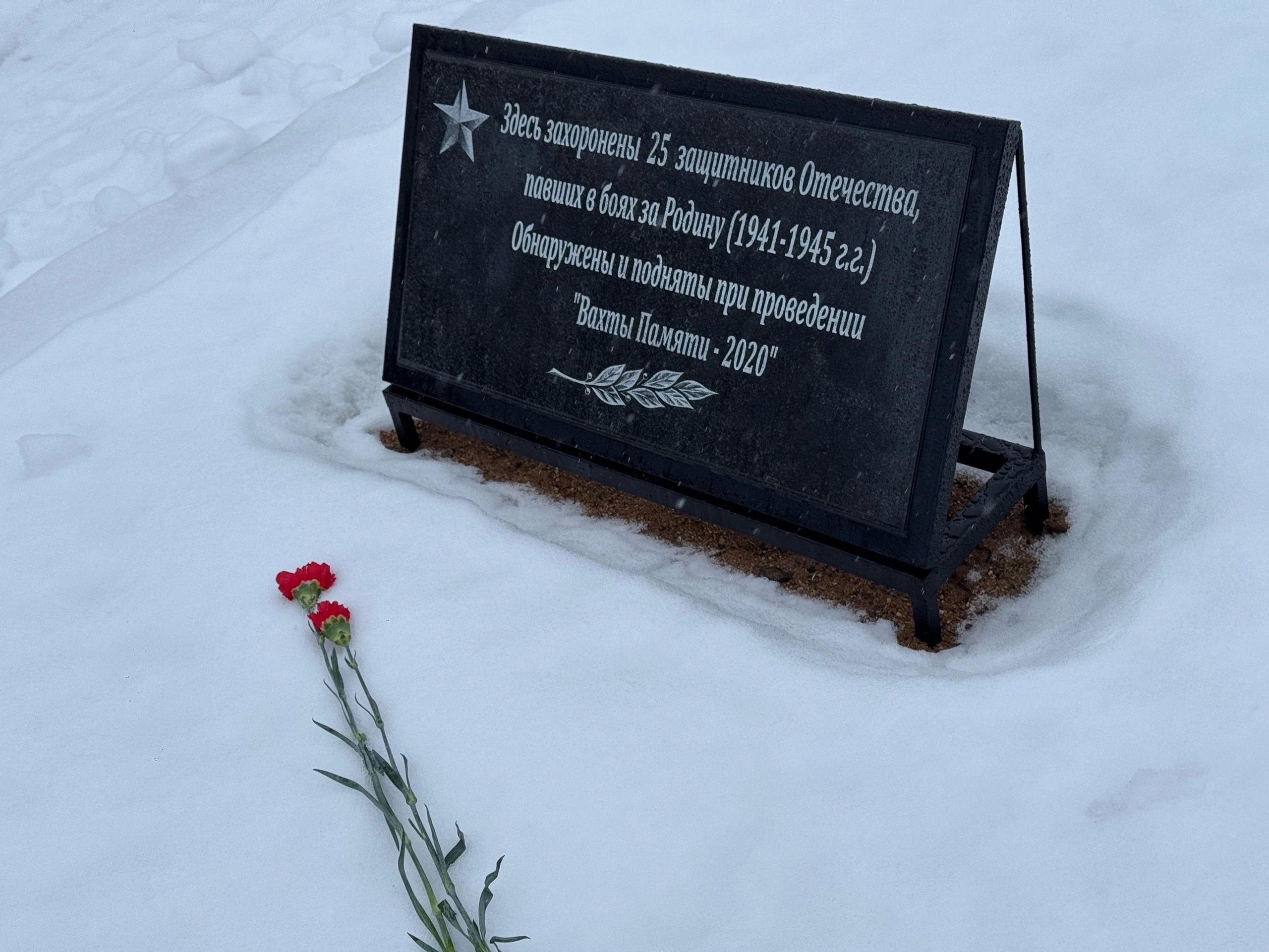 В Осташковском округе юнармейцы возложили гирлянду к памятнику партизанам