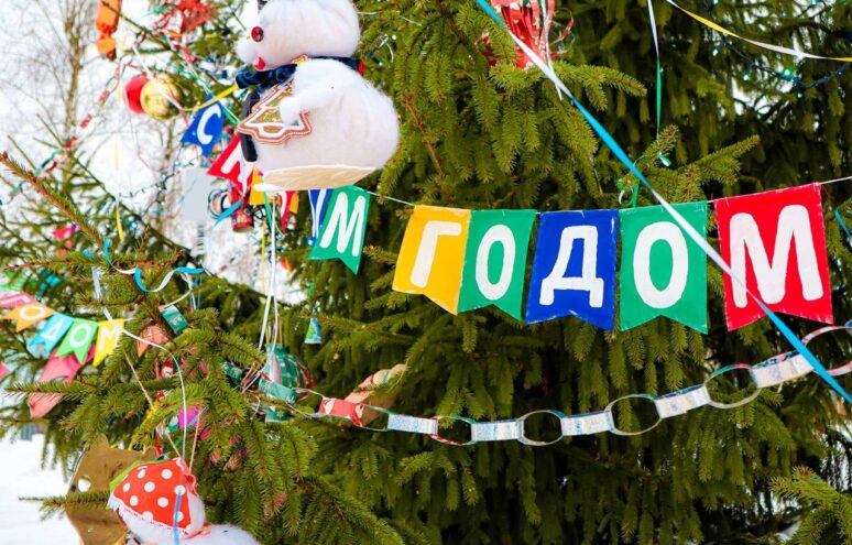 Новогодняя елка из Тверской области попала в финал конкурса Минстроя РФ Новогодняя елка из Тверской области попала в финал конкурса Минстроя РФ