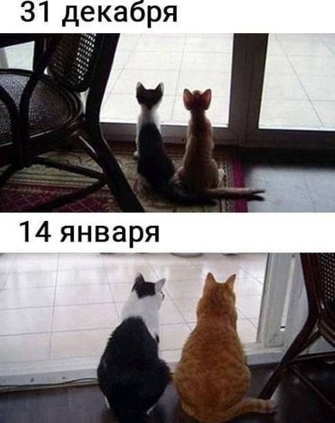 Пережить 9 января: Подборка мемов про первый рабочий день после праздников Пережить 9 января: Подборка мемов про первый рабочий день после праздников