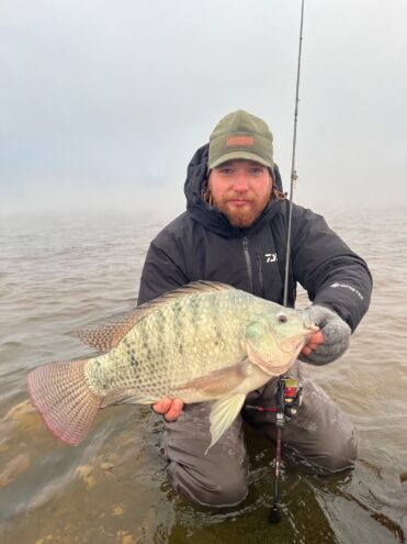 В Тверской области поймали огромную теляпию В Тверской области поймали огромную теляпию
