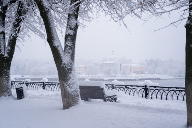 Тверскую область заметёт долгожданным снегом Тверскую область заметёт долгожданным снегом
