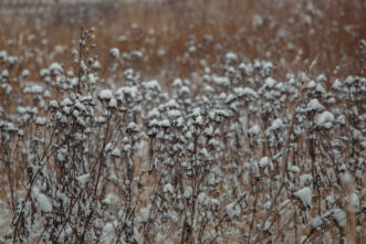 МЧС: В Тверской области резко похолодает до -15 МЧС: В Тверской области резко похолодает до -15
