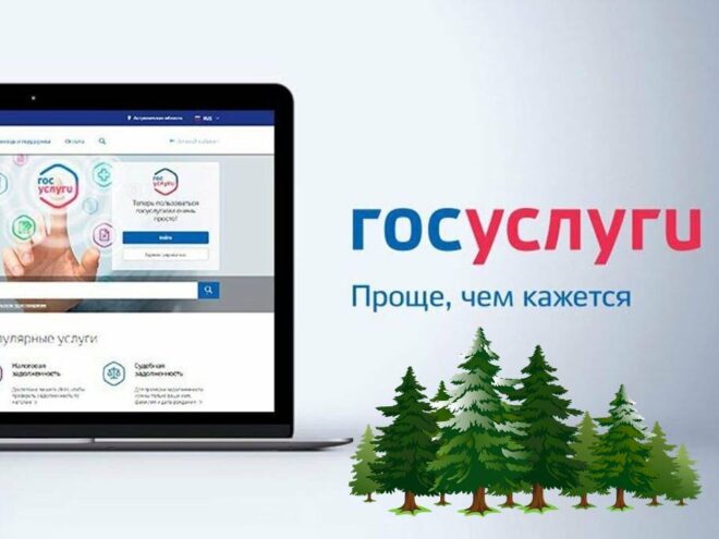 Около 20 тысяч госуслуг в сфере лесных отношений оказали жителям Тверской области в 2024 году Около 20 тысяч госуслуг в сфере лесных отношений оказали жителям Тверской области в 2024 году