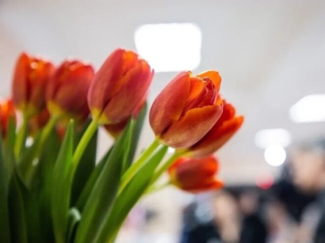 Жительниц Твери разводят на красоте, здоровье и подарках