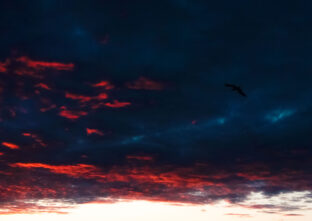 В Тверской области отражена ночная атака БПЛА В Тверской области