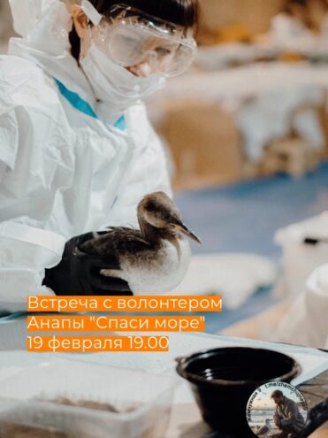 В тверском котокафе состоится встреча с волонтером Анапы «Спаси море» В тверском котокафе состоится встреча с волонтером Анапы «Спаси море»