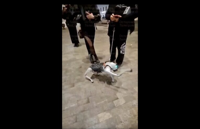 На улицах Твери заметили робопса в "кожанке" На улицах Твери заметили робопса в кожаной куртке