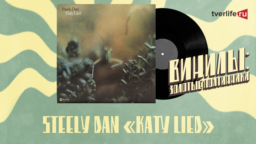 Винилы: Кто придумал рок для "ботаников" Винилы