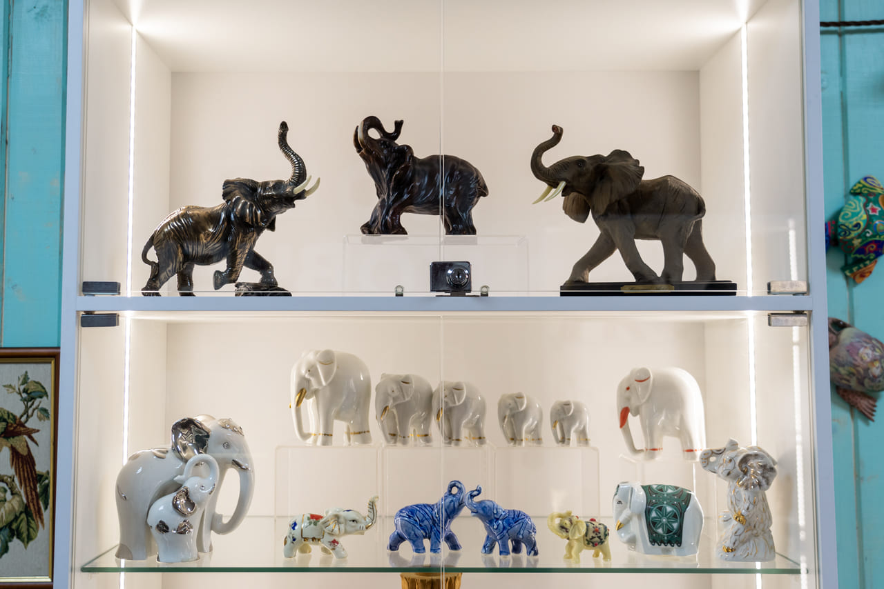 Одно здание - два музея: Где в Твери проводят карамельные мастер-классы и выставляют частные коллекции