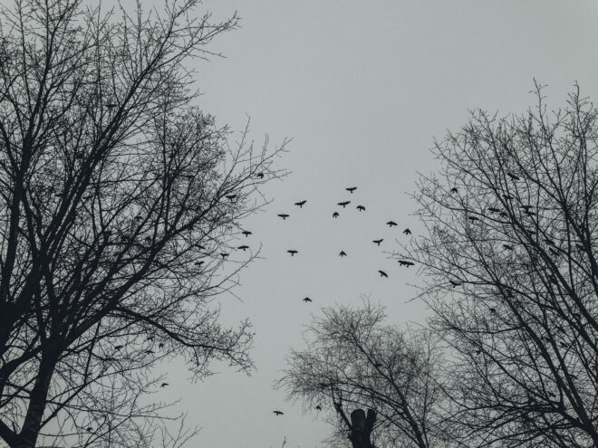 В Тверской области снова не будет снегопада В Тверской области снова не будет снегопада