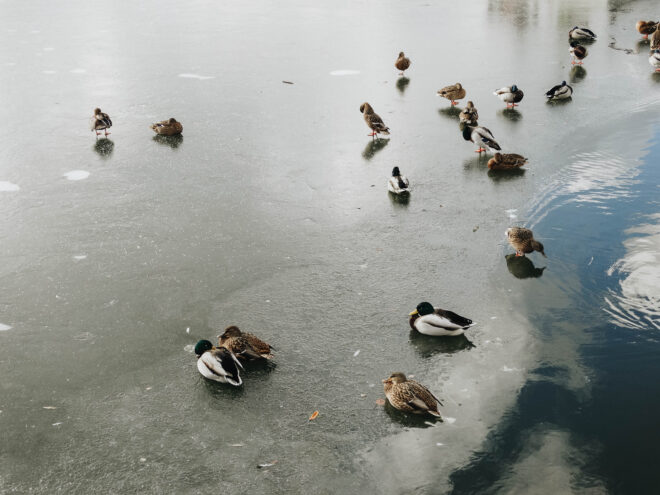 В Тверской области ожидается похолодание до февральской нормы В Тверской области ожидается похолодание до февральской нормы
