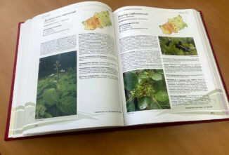 Тверской области