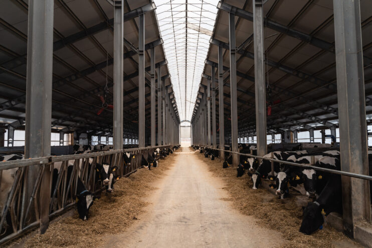 В Тверской области продолжается ежегодный рост продукции животноводства В Тверской области продолжается ежегодный рост продукции животноводства