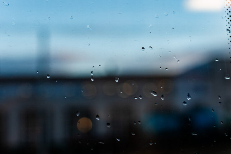 Тверской области