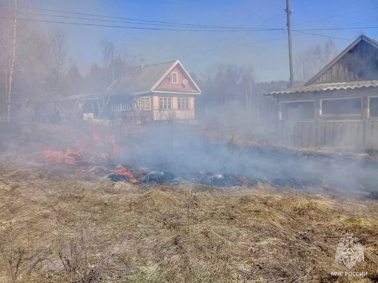 сухой травы