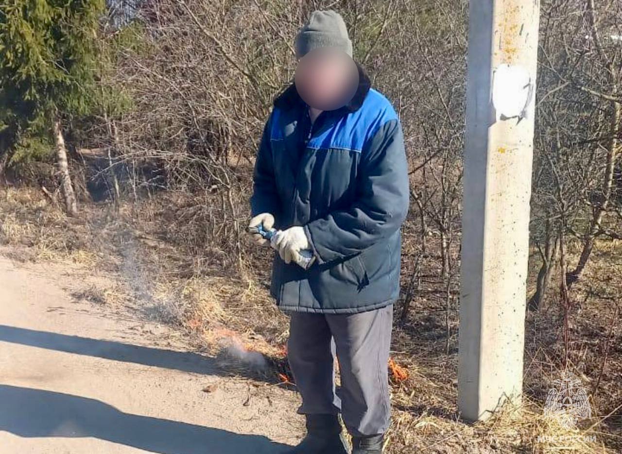 сухой травы