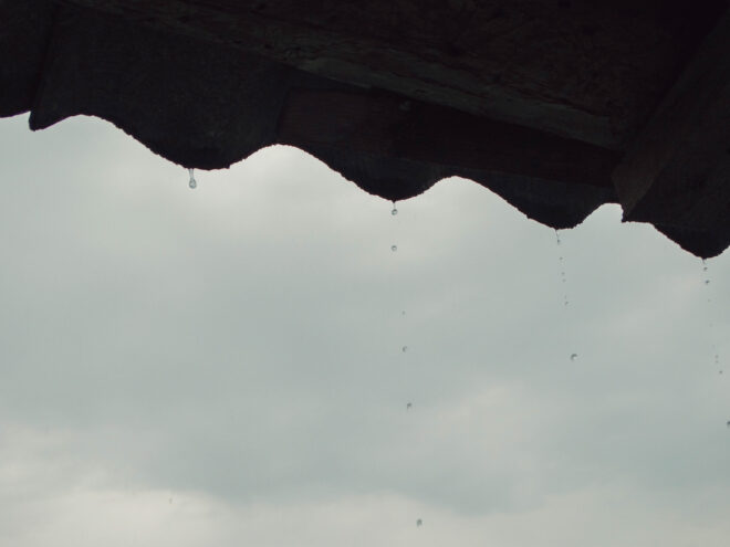 В Тверской области