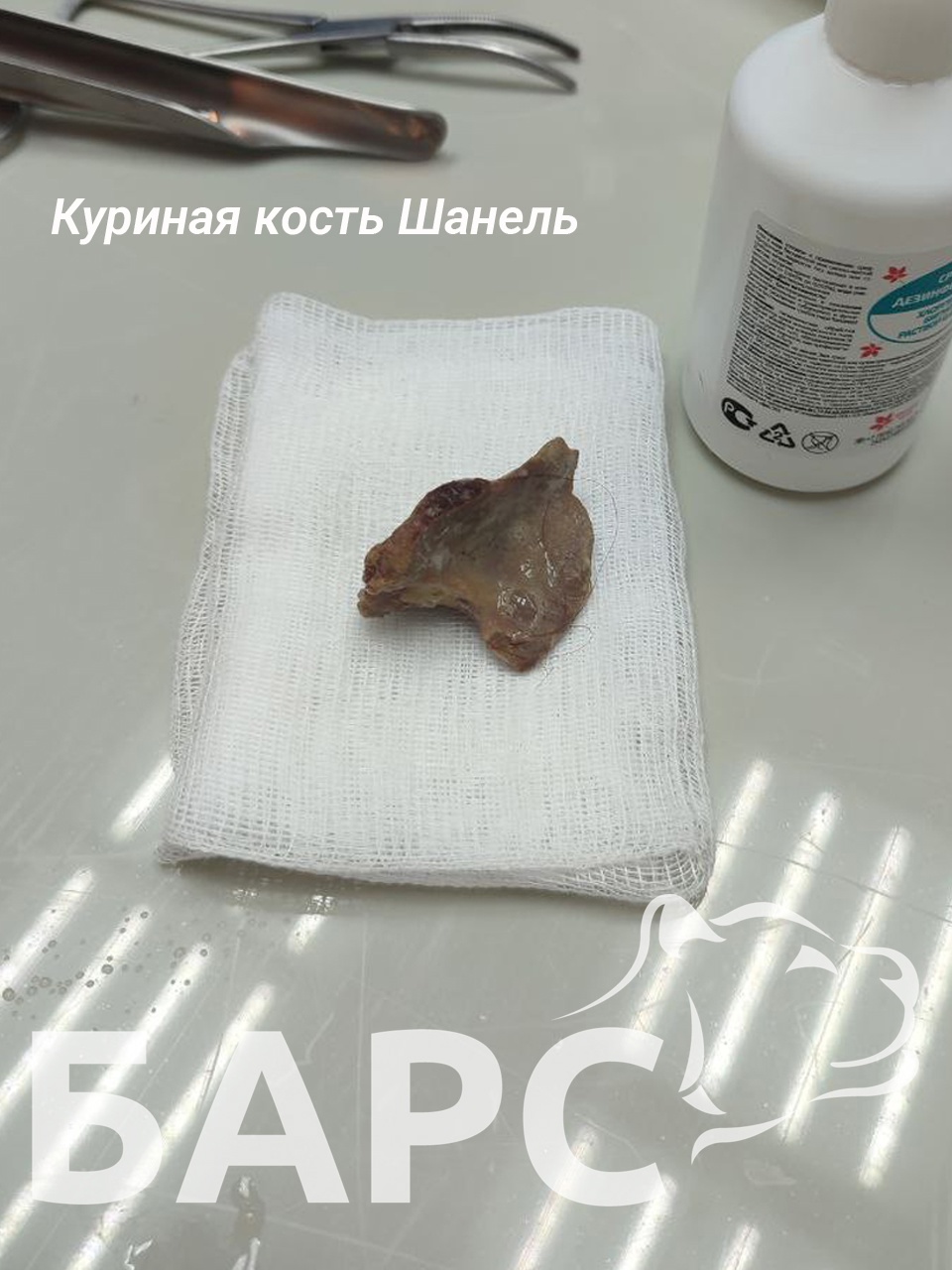 Ветеринары