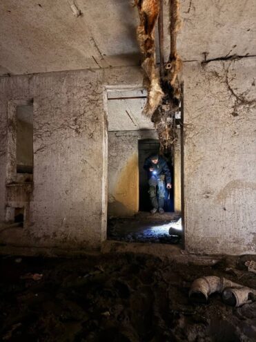 Волонтеры "Совы"