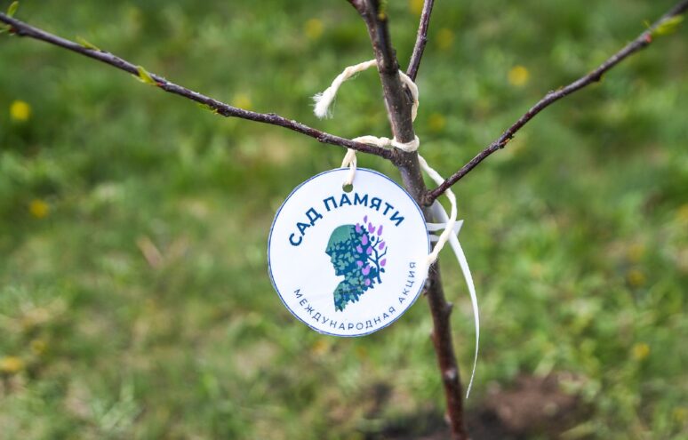 В год 80-летия Великой Победы Тверская область примет участие в международной акции «Сад Памяти» В год 80-летия Великой Победы Тверская область примет участие в международной акции «Сад Памяти»