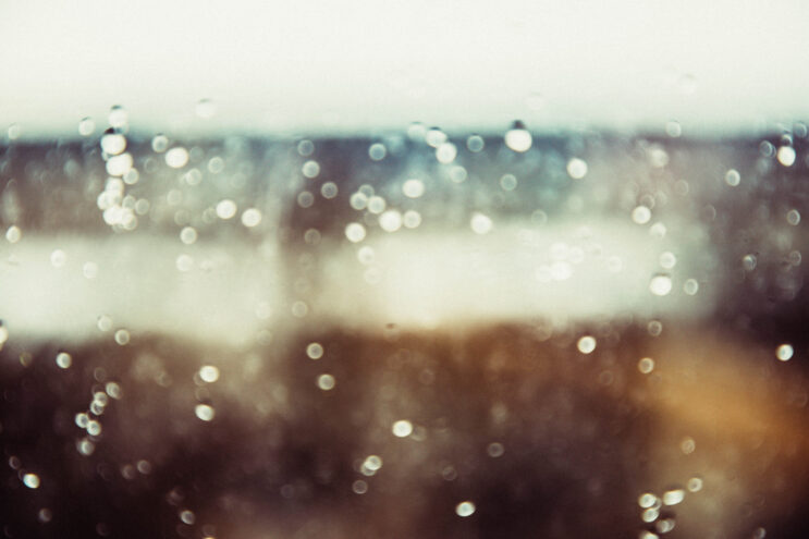 Тверской области