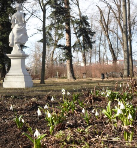 Жителей Твери приглашают на открытие Дворцового сада на открытие