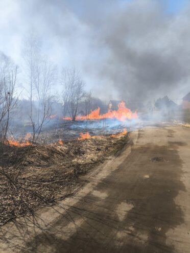 Глава Ржевского округа призывает жителей не жечь траву Глава Ржевского округа