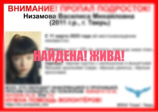Пропавшую накануне девочку с красными волосами нашли в Твери в Твери
