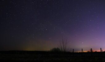 Жительница Тверской области сфотографировала северное сияние и яркую Венеру Жительница Тверской области сфотографировала северное сияние и яркую Венеру