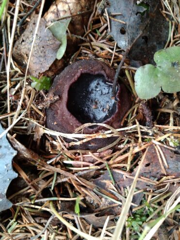 Тверской области