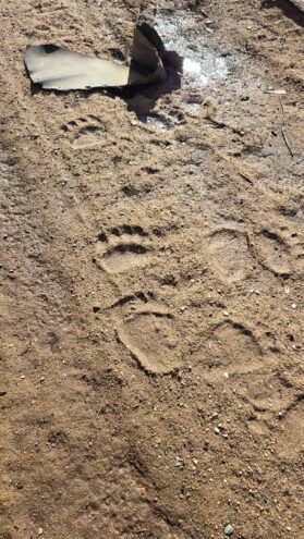 Тверской области