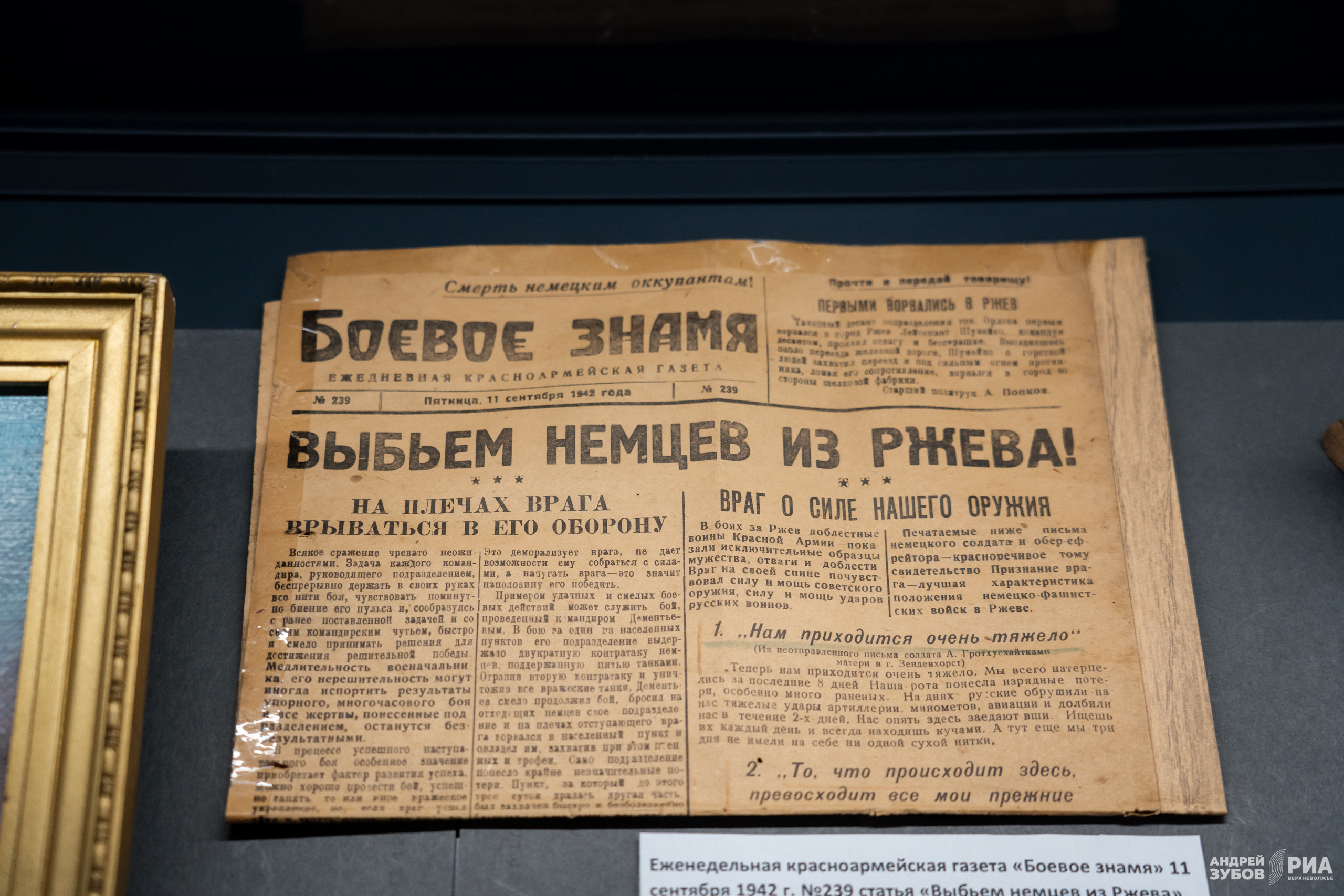 выставка