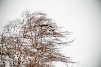 В Тверской области испортится погода испортится погода