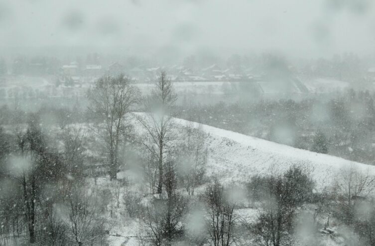 Тверскую область