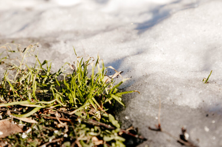 В Тверскую область придёт весеннее тепло