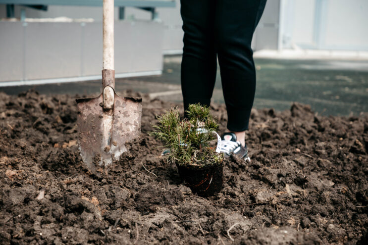 80-летию Победы