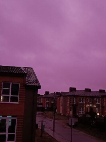 «Фиолетовая вата»: виноваты ли фитолампы в необычном цвете неба в Тверской области