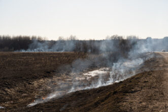 Тверской области