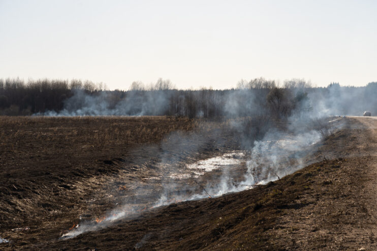 Тверской области