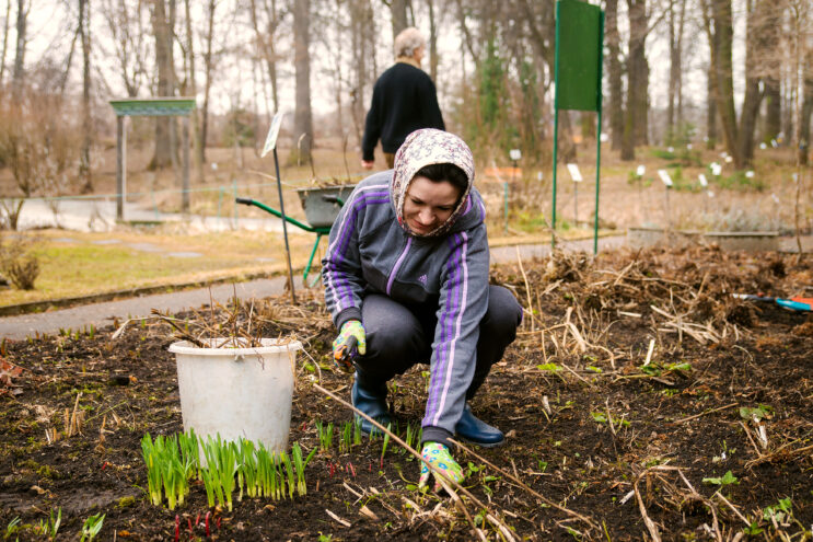 Тверской области