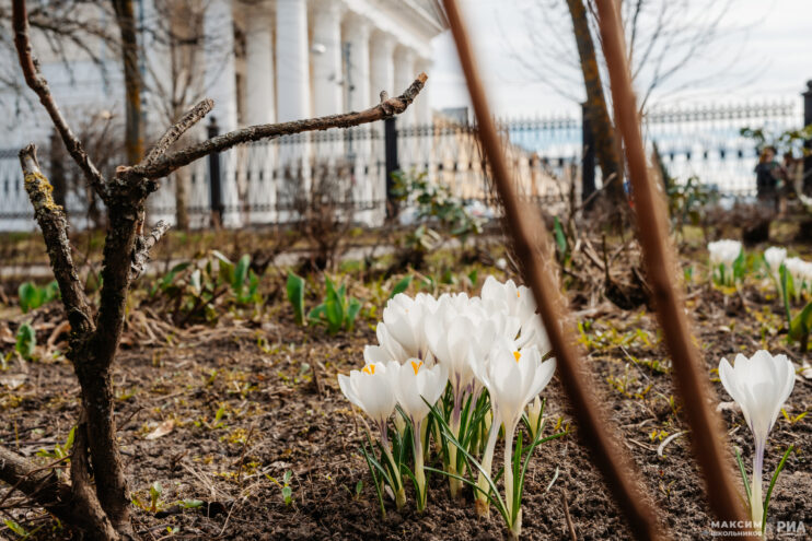 Тверской области