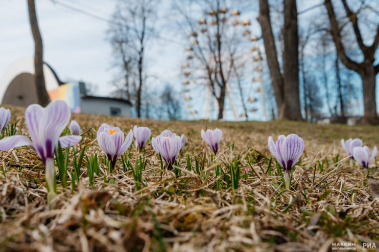 Температура воздуха в Тверской области превысит климатическую норму июня Тверской области