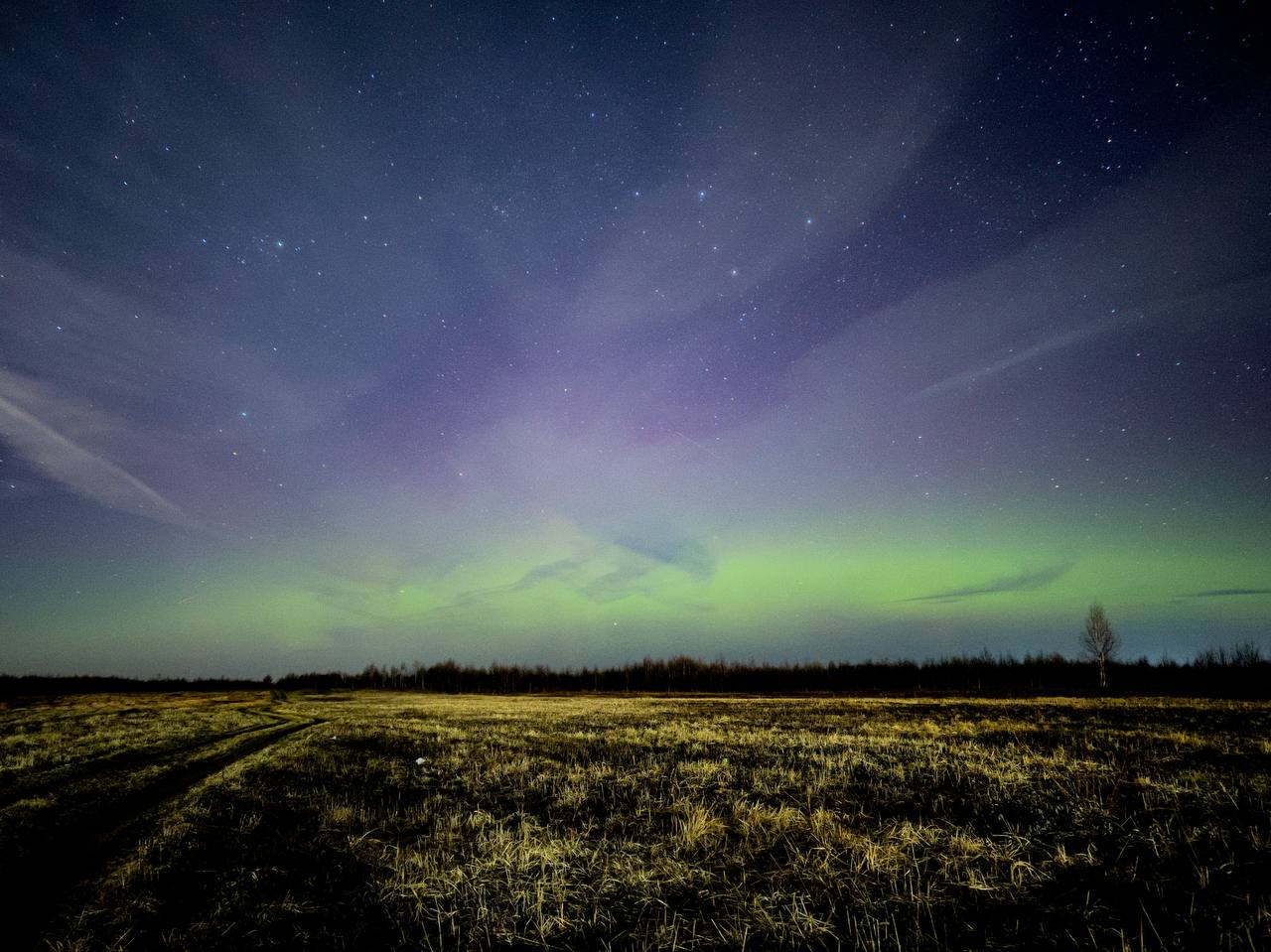Над Тверью разгорелось северное сияние Над Тверью разгорелось северное сияние