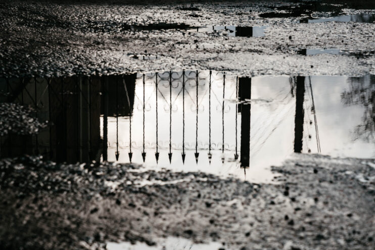 Тверскую область