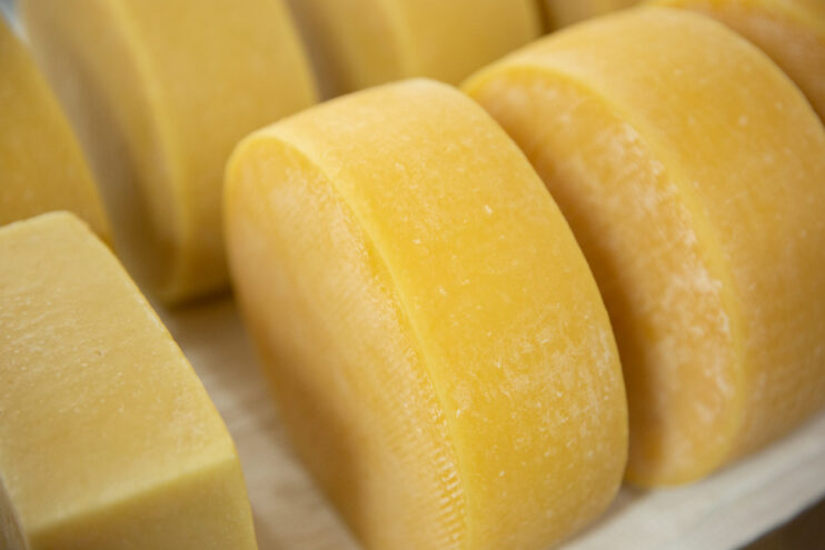 Фальсификация состава сыра, предназначенного для питания в социально-медицинском учреждении, установлена специалистами Тверской лаборатории специалистами