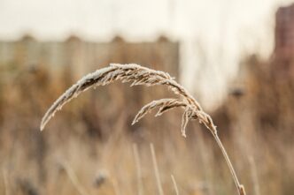 В Тверской области