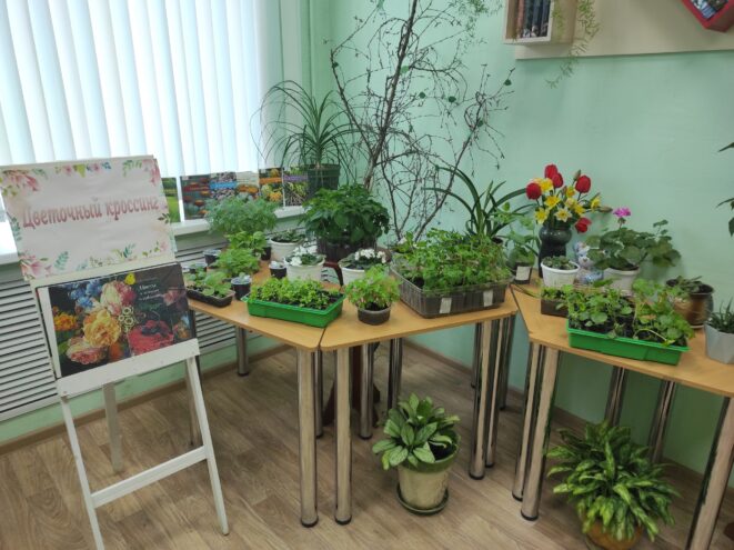 В нелидовской библиотеке стартовал «Цветочный кроссинг»