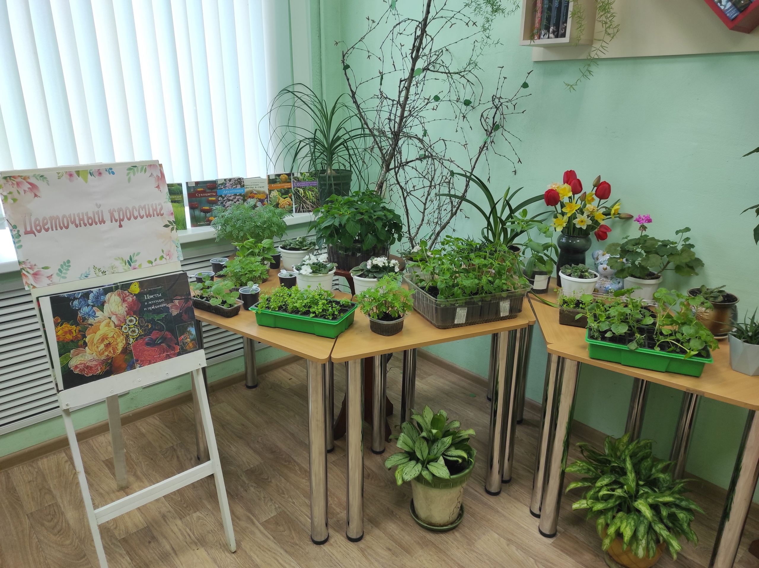 В нелидовской библиотеке стартовал «Цветочный кроссинг» В нелидовской библиотеке стартовал «Цветочный кроссинг»
